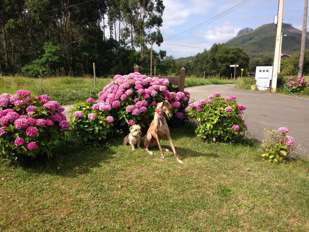 Hotel Mirador Del Sella ริวาเดเซญา ภายนอก รูปภาพ