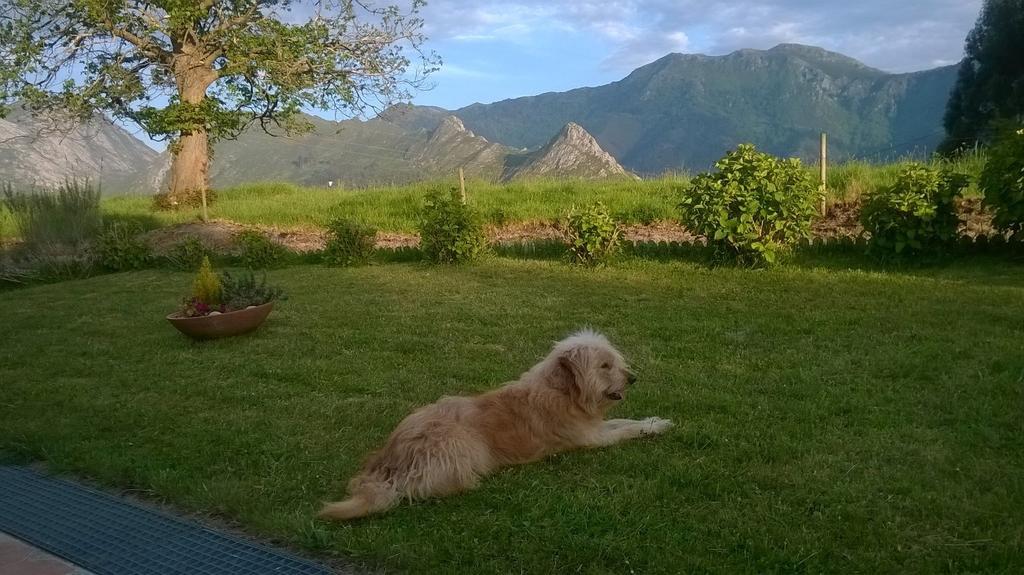 Hotel Mirador Del Sella ริวาเดเซญา ภายนอก รูปภาพ